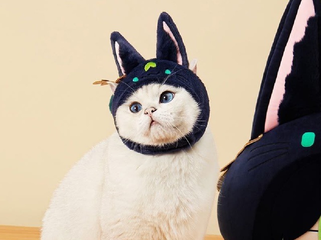 Мерч, который заслужили… котики! Мерч, который заслужили… котики!