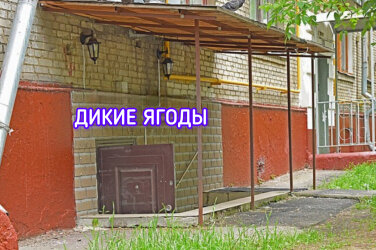 Новый закон о «русских» вывесках: полный разбор для бизнеса Новый закон о «русских» вывесках: полный разбор для бизнеса