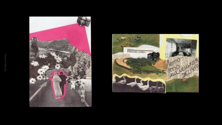 Насмотренность — она вообще зачем и для кого? Насмотренность — она вообще зачем и для кого?